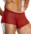 Male Power Big Man Mesh Pouch Short