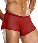 Male Power Big Man Mesh Pouch Short